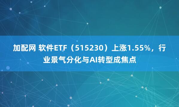 加配网 软件ETF（515230）上涨1.55%，行业景气分化与AI转型成焦点