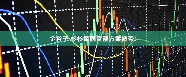 金谷子 杉杉集团重整方案被否！